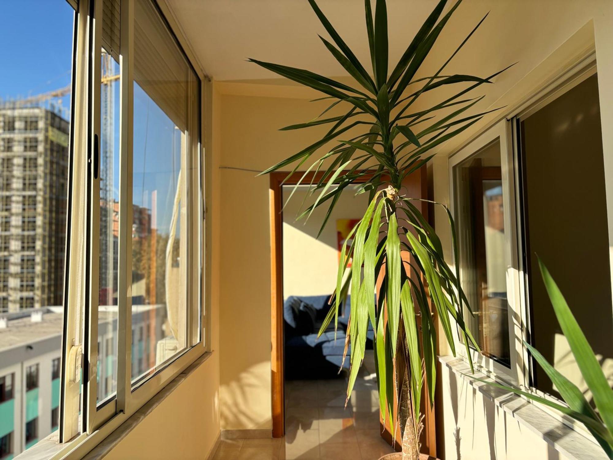 Tam 2Bdr Center Taiwan Apartment Tiranë Ngoại thất bức ảnh